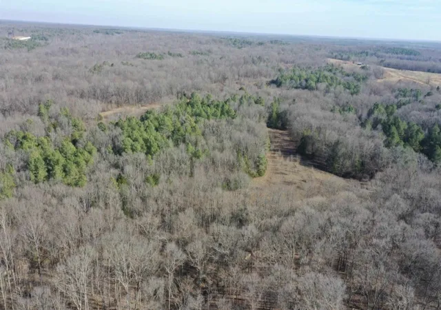 Photo 2 of Land for sale at 0 Austin Springs Rd, Dukedom, TN 38226 | MLS# 3541581 | Listing updated on 2026-09-04