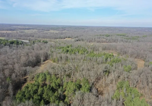 Photo 3 of Land for sale at 0 Austin Springs Rd, Dukedom, TN 38226 | MLS# 3541581 | Listing updated on 2026-09-04