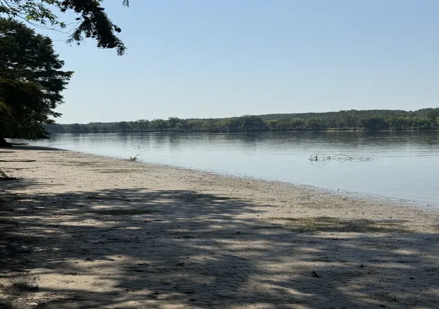 Photo 3 of Land for sale at 495 Hardin Btm River Rd, Clifton, TN 38425 | MLS# 3541445 | Listing updated on 2026-09-04