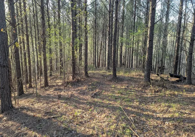 Photo 1 of Land for sale at 628 Starlight Dr, Linden, TN 37096 | MLS# 3541273 | Listing updated on 2026-09-04