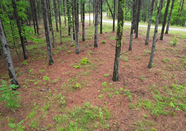 Photo 2 of Land for sale at 628 Starlight Dr, Linden, TN 37096 | MLS# 3541273 | Listing updated on 2026-09-04