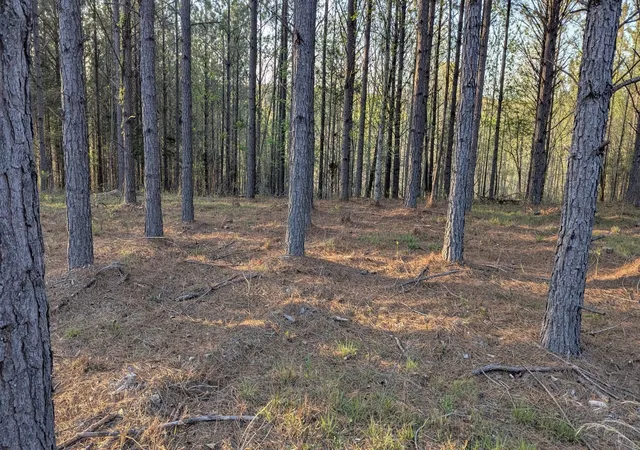 Photo 3 of Land for sale at 628 Starlight Dr, Linden, TN 37096 | MLS# 3541273 | Listing updated on 2026-09-04