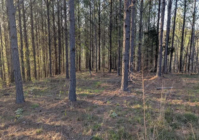 Photo 3 of Land for sale at 628 Starlight Dr, Linden, TN 37096 | MLS# 3541273 | Listing updated on 2026-09-04