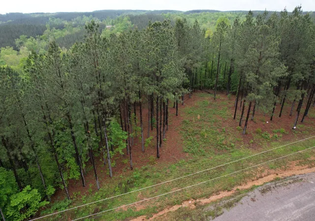 Photo 4 of Land for sale at 628 Starlight Dr, Linden, TN 37096 | MLS# 3541273 | Listing updated on 2026-09-04