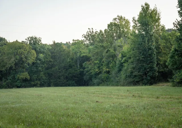 Photo 1 of Land for sale at 0 Choctaw Rd, College Grove, TN 37046 | MLS# 3541105 | Listing updated on 2026-09-03