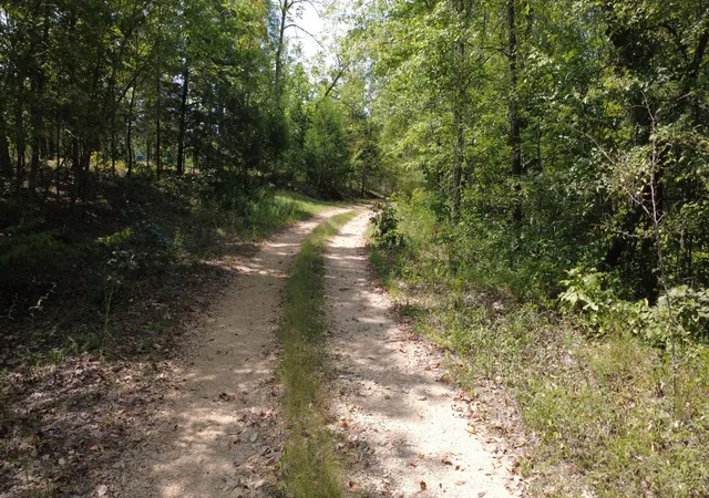 Photo 1 of Land for sale at 0 Hogg Hl Rd, Lobelville, TN 37097 | MLS# 3541375 | Listing updated on 2026-09-04