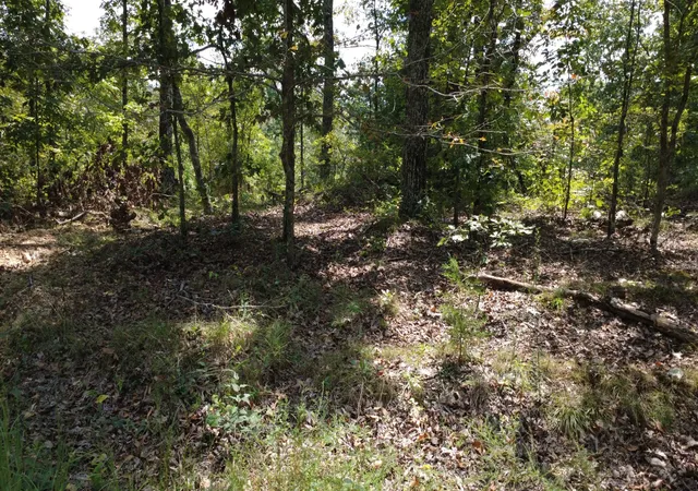 Photo 2 of Land for sale at 0 Hogg Hl Rd, Lobelville, TN 37097 | MLS# 3541375 | Listing updated on 2026-09-04