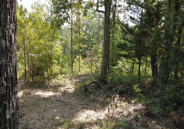 Photo 3 of Land for sale at 0 Hogg Hl Rd, Lobelville, TN 37097 | MLS# 3541375 | Listing updated on 2026-09-04
