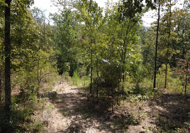 Photo 3 of Land for sale at 0 Hogg Hl Rd, Lobelville, TN 37097 | MLS# 3541375 | Listing updated on 2026-09-04