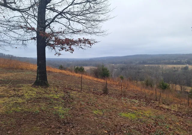 Photo 1 of Single family home for sale at 199 Dixon Ln, Waynesboro, TN 38485 | MLS# 3541599 | Listing updated on 2026-10-29