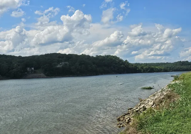 Photo 1 of Land for sale at 0 Hardin Btm River Rd, Clifton, TN 38425 | MLS# 3541411 | Listing updated on 2026-09-04