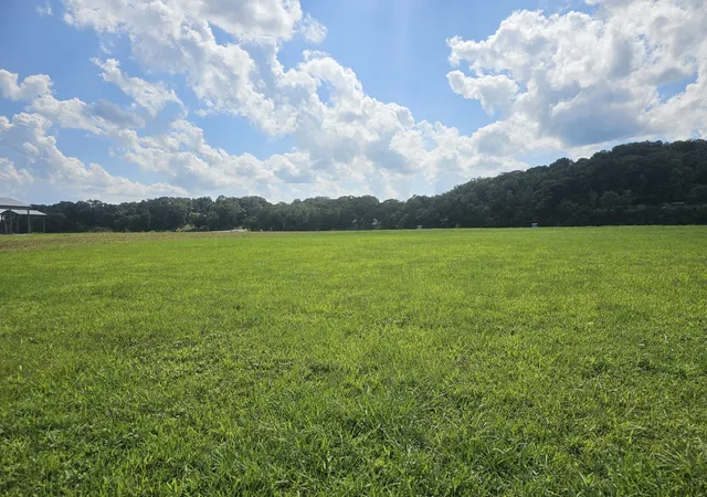 Photo 4 of Land for sale at 0 Hardin Btm River Rd, Clifton, TN 38425 | MLS# 3541411 | Listing updated on 2026-09-04