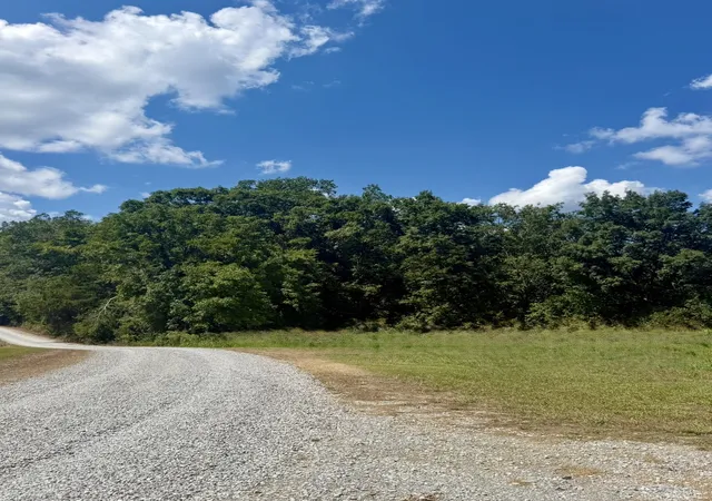 Photo 3 of Land for sale at 1 Walnut Ln, Nunnelly, TN 37137 | MLS# 3541472 | Listing updated on 2026-09-05
