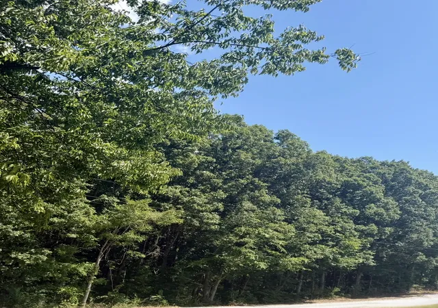 Photo 4 of Land for sale at 1 Walnut Ln, Nunnelly, TN 37137 | MLS# 3541472 | Listing updated on 2026-09-05