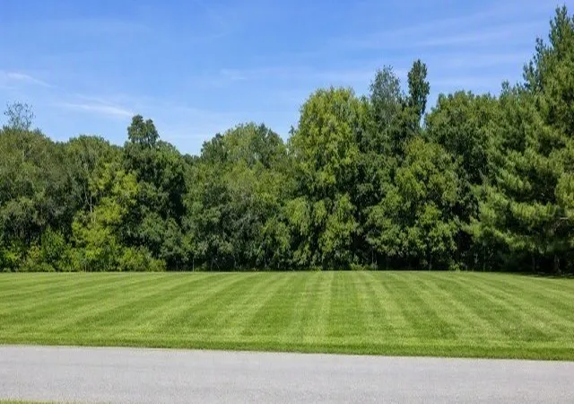 Photo 2 of Land for sale at 3956 Martins Chapel Rd, Springfield, TN 37172 | MLS# 3542020 | Listing updated on 2026-09-04