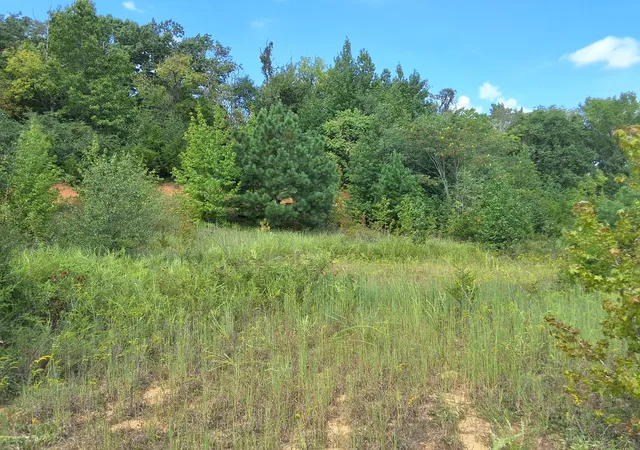 Photo 1 of Land for sale at 4675 Benders Fry Rd, Mount Juliet, TN 37122 | MLS# 3542100 | Listing updated on 2026-09-20