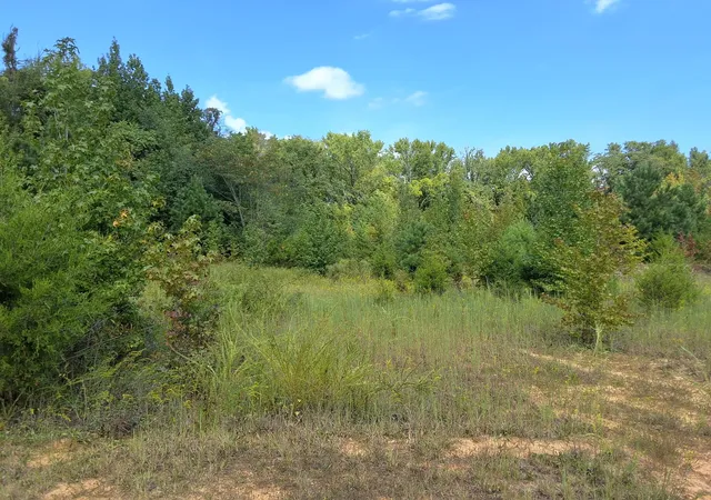 Photo 3 of Land for sale at 4675 Benders Fry Rd, Mount Juliet, TN 37122 | MLS# 3542100 | Listing updated on 2026-09-20