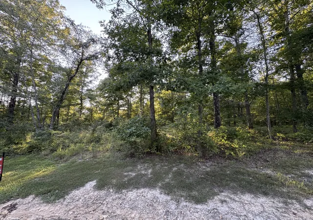 Photo 4 of Land for sale at 260 Oakwood Trl, Mc Ewen, TN 37101 | MLS# 3541961 | Listing updated on 2026-09-04