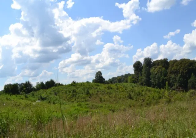 Land for sale at 0 Landing Ln, Smithville, TN 37166 | MLS# 3542043