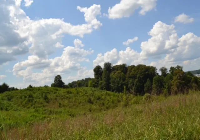 Photo 2 of Land for sale at 0 Landing Ln, Smithville, TN 37166 | MLS# 3542043 | Listing updated on 2026-09-04