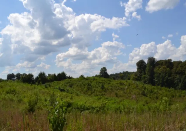 Photo 3 of Land for sale at 0 Landing Ln, Smithville, TN 37166 | MLS# 3542043 | Listing updated on 2026-09-04
