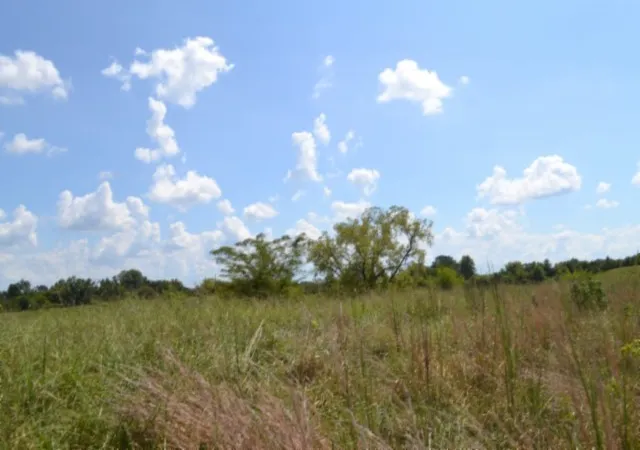 Photo 4 of Land for sale at 0 Landing Ln, Smithville, TN 37166 | MLS# 3542043 | Listing updated on 2026-09-04