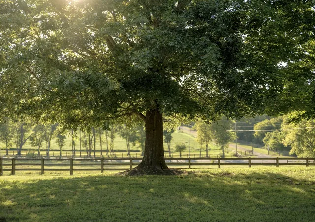 Photo 2 of Land for sale at 8005 Dry Crk Rd, Mount Pleasant, TN 38474 | MLS# 3542284 | Listing updated on 2026-09-04