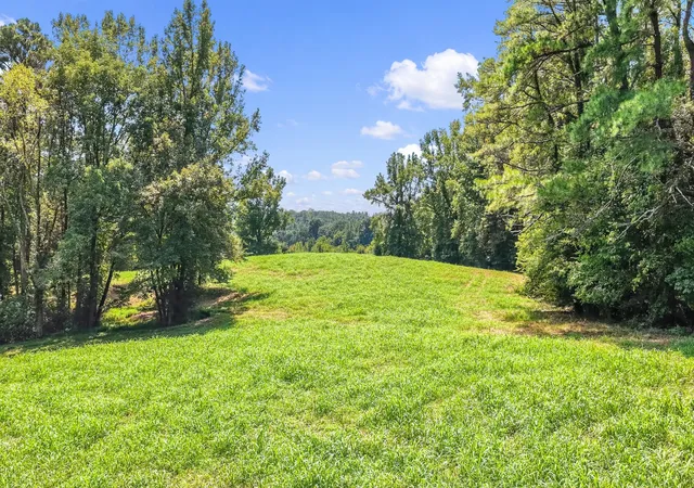 Photo 1 of Single family home for sale at 9960 Darden Christian Chapel Rd, Wildersville, TN 38388 | MLS# 3542271 | Listing updated on 2026-09-04