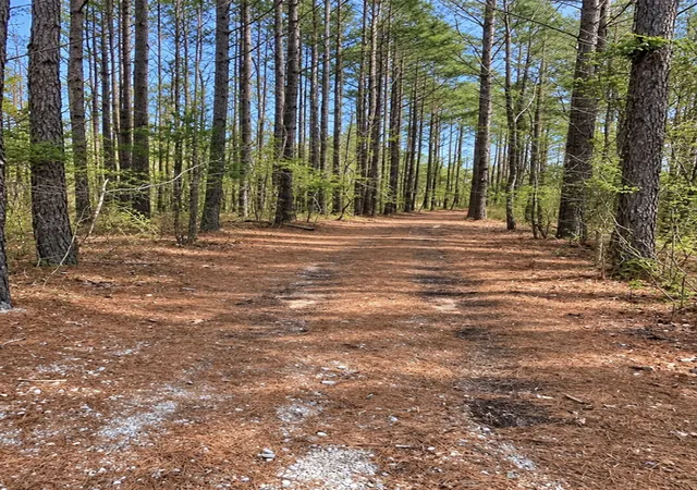 Photo 3 of Land for sale at 18 Allen Bnd Rd, Smithville, TN 37166 | MLS# 3542338 | Listing updated on 2026-09-04