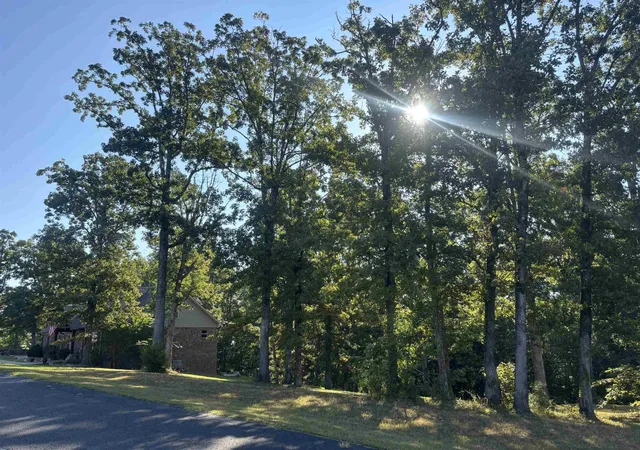 Photo 2 of Land for sale at 489 Rivers Edge Dr, Bath Springs, TN 38311 | MLS# 3542515 | Listing updated on 2026-09-05