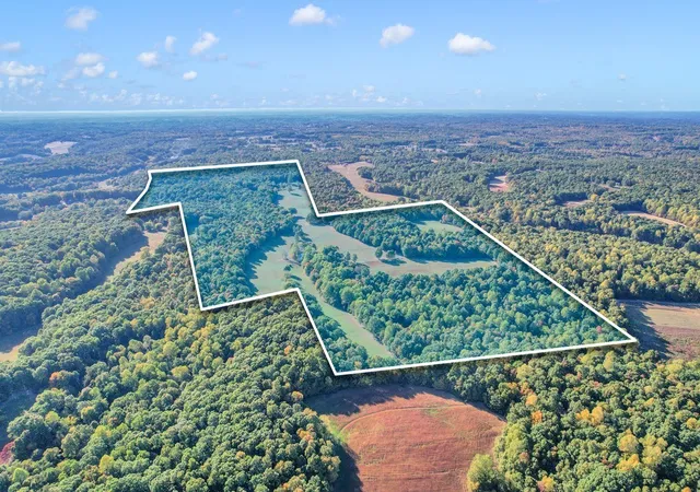 Photo 2 of Single family home for sale at 796 Daisy Cir, Cumberland Furnace, TN 37051 | MLS# 3542737 | Listing updated on 2026-09-06