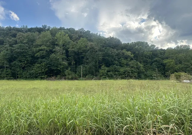 Photo 1 of Land for sale at 0 Lees Crk Rd, Fayetteville, TN 37334 | MLS# 3542713 | Listing updated on 2026-09-05