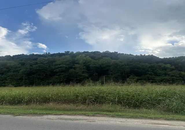 Photo 2 of Land for sale at 0 Lees Crk Rd, Fayetteville, TN 37334 | MLS# 3542713 | Listing updated on 2026-09-05
