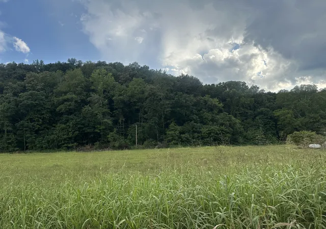 Photo 3 of Land for sale at 0 Lees Crk Rd, Fayetteville, TN 37334 | MLS# 3542713 | Listing updated on 2026-09-05