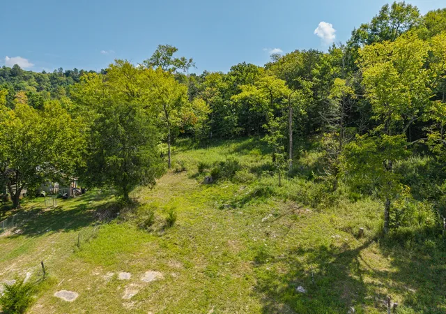 Photo 3 of Land for sale at 207 Wells Holw Rd, Petersburg, TN 37144 | MLS# 3542757 | Listing updated on 2026-09-06