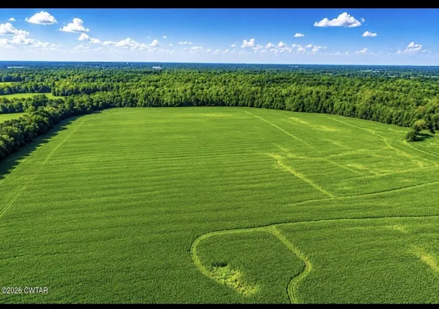 Photo 3 of Land for sale at 491 Wheeler Rd, Palmersville, TN 38241 | MLS# 3542920 | Listing updated on 2026-09-07
