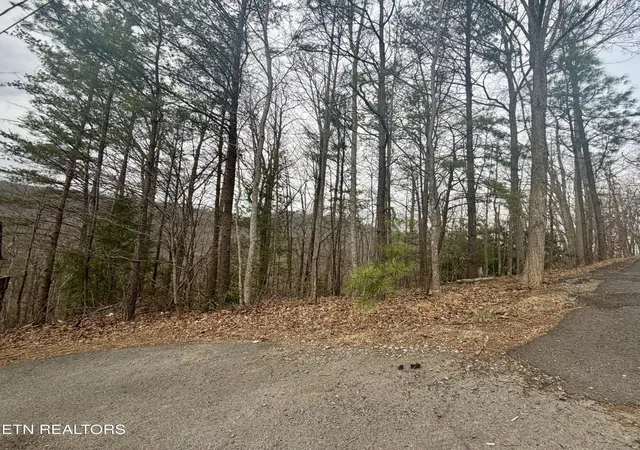 Photo 3 of Land for sale at 0 Thissa Way, Gatlinburg, TN 37738 | MLS# 3542970 | Listing updated on 2026-09-07