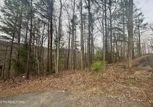 Photo 3 of Land for sale at 0 Thissa Way, Gatlinburg, TN 37738 | MLS# 3542970 | Listing updated on 2026-09-07