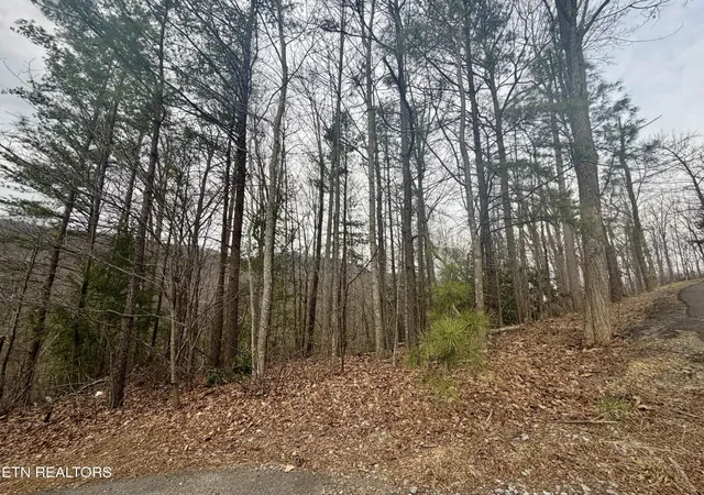 Photo 4 of Land for sale at 0 Thissa Way, Gatlinburg, TN 37738 | MLS# 3542970 | Listing updated on 2026-09-07