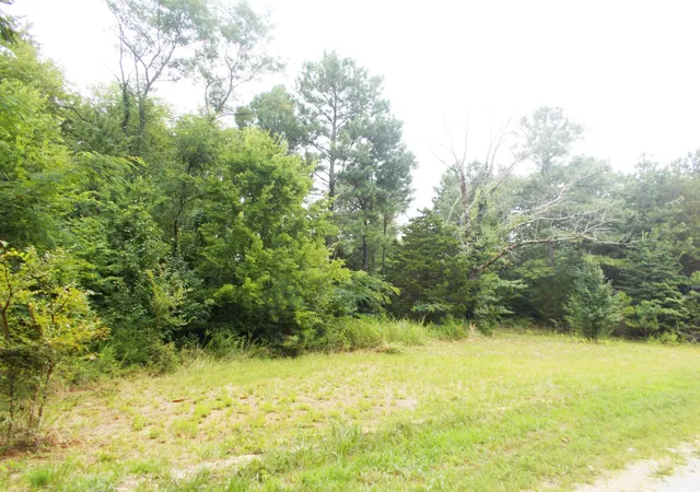 Photo 2 of Land for sale at 0 Sand Pit Loop, Camden, TN 38320 | MLS# 3543022 | Listing updated on 2026-09-07