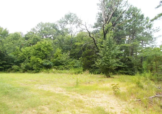 Photo 3 of Land for sale at 0 Sand Pit Loop, Camden, TN 38320 | MLS# 3543022 | Listing updated on 2026-09-07