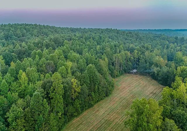 Land for sale at 965 Flag Springs Rd, Lynnville, TN 38472 | MLS# 3543048