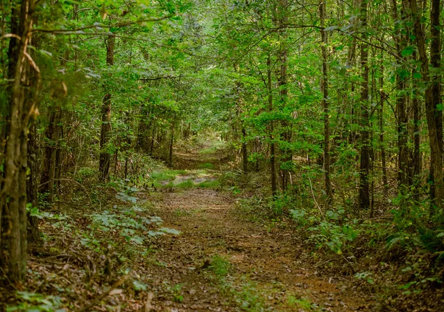 Photo 3 of House for sale at 965 Flag Springs Rd, Lynnville, TN 38472 | MLS# 3543048 | Listing updated on 2026-09-07