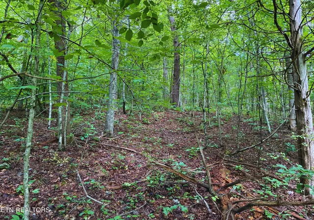 Photo 4 of Sale Pending at 601 Vardy Blackwater Rd, Sneedville, TN 37869 | MLS# 3543056 | Listing updated on 2026-10-28