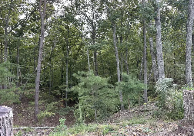Photo 2 of Single family home for sale at 132 Eagle View Dr, Dover, TN 37058 | MLS# 3546010 | Listing updated on 2026-09-14