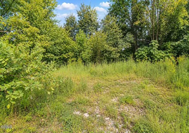 Photo 2 of Land for sale at 616 Wiley Oakley Dr, Gatlinburg, TN 37738 | MLS# 3544075 | Listing updated on 2026-10-03