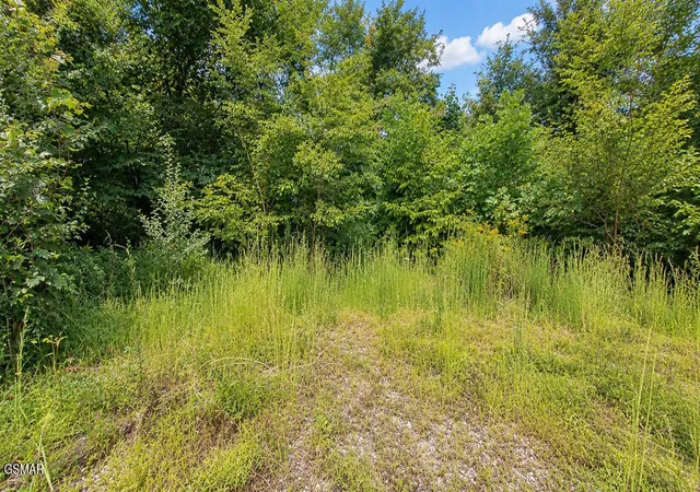 Photo 4 of Land for sale at 616 Wiley Oakley Dr, Gatlinburg, TN 37738 | MLS# 3544075 | Listing updated on 2026-10-03