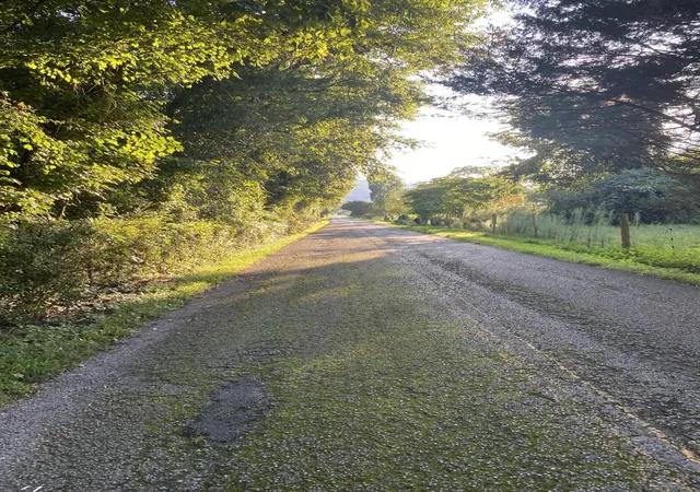 Photo 4 of Single family home for sale at 4880 Hills Crk Rd, Mc Minnville, TN 37110 | MLS# 3544105 | Listing updated on 2026-10-28
