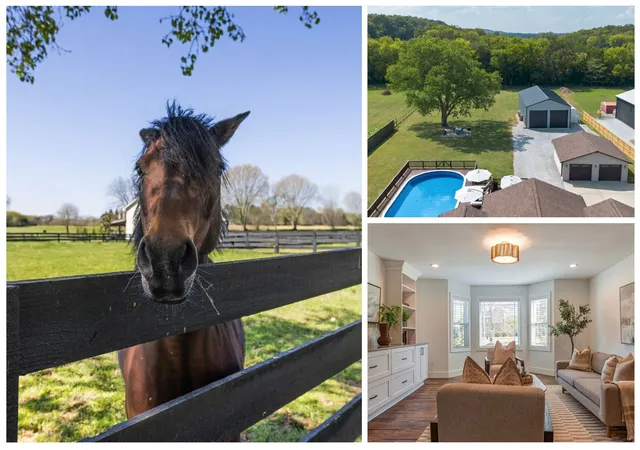 Single family home for sale at 6385 Lampkins Brg Rd, College Grove, TN 37046 | MLS# 3593179