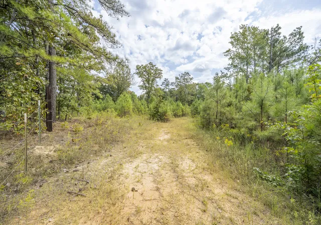 Photo 3 of Sale Pending at 5887 Beauty Hl Rd, Adamsville, TN 38310 | MLS# 3545536 | Listing updated on 2026-10-02